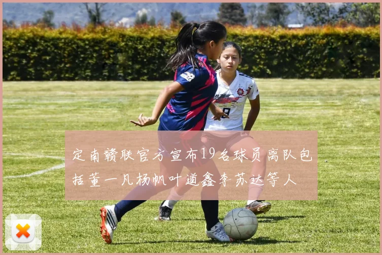 定南赣联官方宣布19名球员离队包括董一凡杨帆叶道鑫李苏达等人